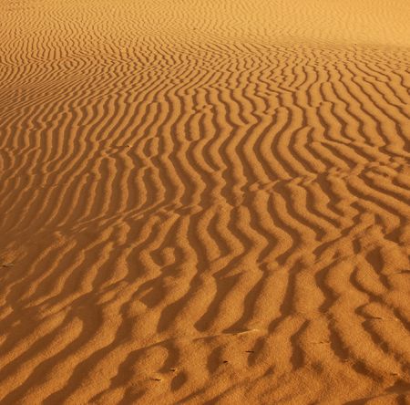 Ripples in the sand in the Coral Pink Sand Dunes Park, Utah lit by the setting sun.