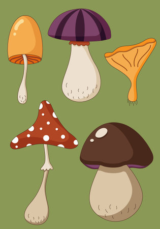 Cartoon set of a coloured mushrooms, poisoned and healthy, vegetarian food in a flat style. Vector illustrationのイラスト素材