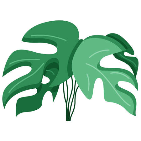 jungle leafs sticker in Mesozoic era for decorating the nursery, for children, illustration in a flat style isolated on a white. Vector illustrationのイラスト素材