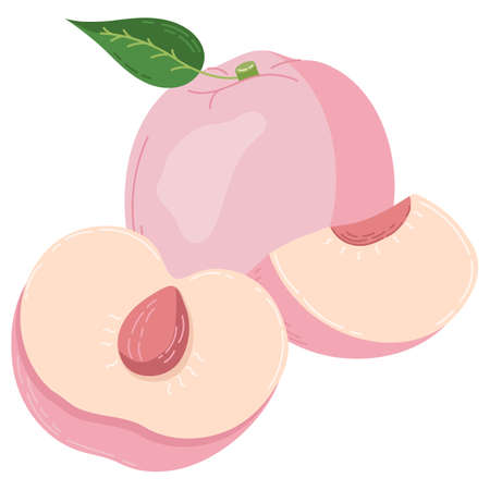 A set of peach fruit drawn in a flat style, slices and halves of fruit, leaves and bones. A set of stickers in pastel colours. Vector illustrationのイラスト素材