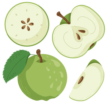 A set of apple fruit drawn in a flat style, slices and halves of fruit, leaves and bones. A set of stickers in pastel colours. Vector illustrationのイラスト素材