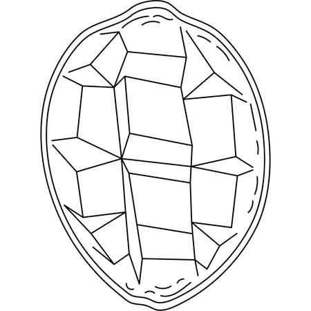 Fruits and vegetables line icons. Pack of signs in trendy style. Outline signs tropical food. vector illustrationのイラスト素材