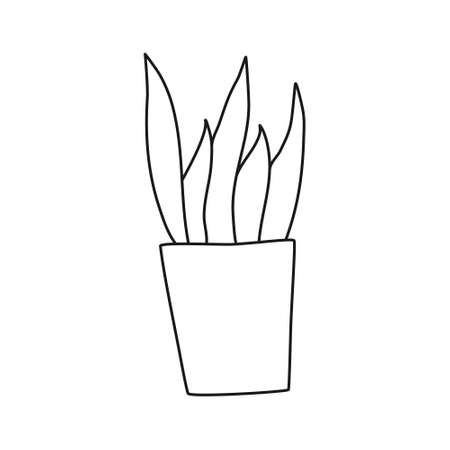 Vector hand drawn flat linear illustrationのイラスト素材