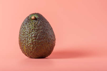 Avocado fruit on a pink background