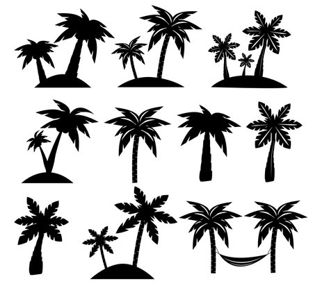 Palm trees, flowers and grass, black silhouettes on white background. Vectorのイラスト素材