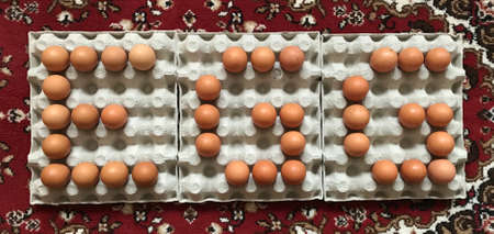 The Word EGG Composed of Fresh Eggs