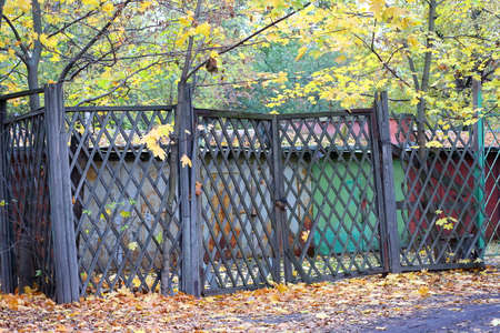 Garages behind a wooden lattice fence with gates in yellow autumn leavesの写真素材
