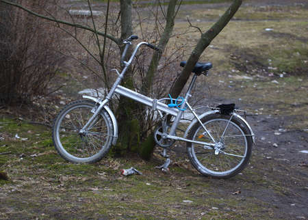 An old bicycle attached to a treeの写真素材