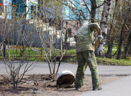 A worker in a camouflage uniform works on the improvement of street lawns, Iskrovsky Prospekt, St. Petersburg, Russia, April 2021のeditorial素材