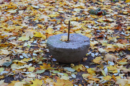 The discarded inverted concrete hemisphere lies on the fallen multicolored leaves