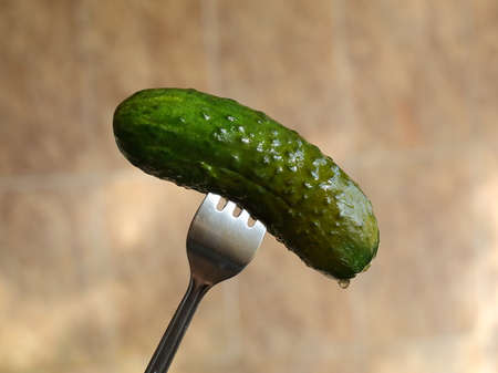 A lightly salted cucumber is impaled on a forkの写真素材