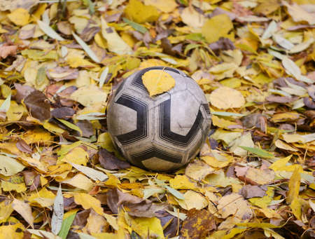 Soccer ball on fallen colorful autumn leavesの写真素材