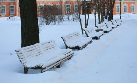 Snow-covered park benchesの写真素材