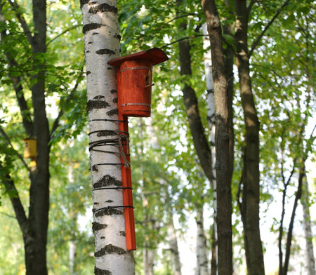 Cylindrical wooden birdhouse on a birch tree in the garden in autumnの写真素材