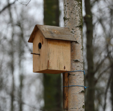 Empty wooden birdhouse on a tree in the garden in autumn