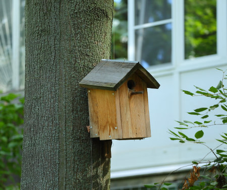 An empty wooden birdhouse on a tree in the garden in summer