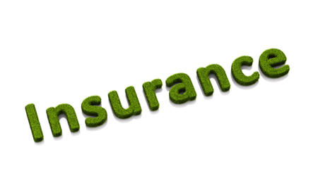conceptual word insurance covered of grass isolated on white backgroundの写真素材