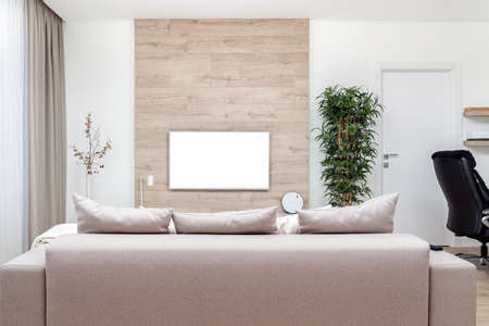 Modern minimalistic luxury apartment with couch, pillows and blank flat-screen lcd TV on the wooden wall, vase and plantの写真素材