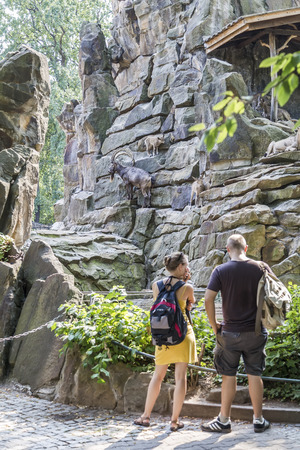BERLIN, GERMANY - AUGUST 6, 2013: Tourists standing at the aviary with mountain goats in the Berlin zooのeditorial素材