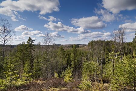Finland - spring landscape, a view from a hill on the Karelian forest, the leaves have not yet...