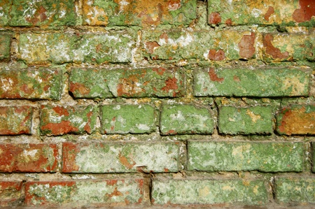 Old green brick wall の写真素材