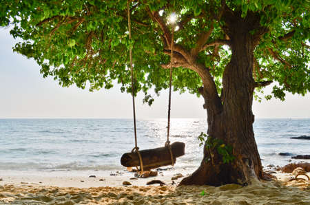 Sea and tree