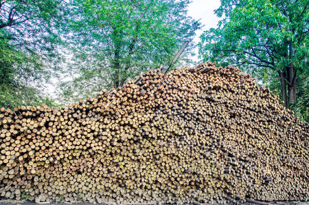 Background of dry chopped firewood logs stacked up on top of each other in a pile