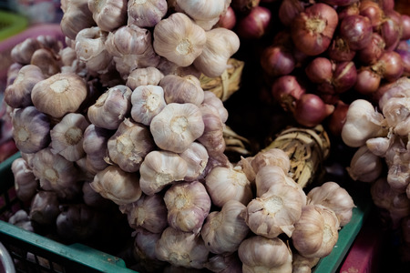 Garlic. Garlic Cloves and Garlic Bulb at the marketの写真素材