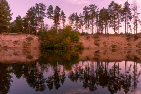 Pine trees reflected in the lake at sunset. Beautiful nature landscape.の写真素材