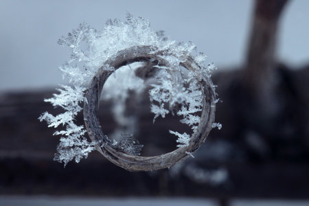 The ring is covered with large patterns of frost crystalsの写真素材