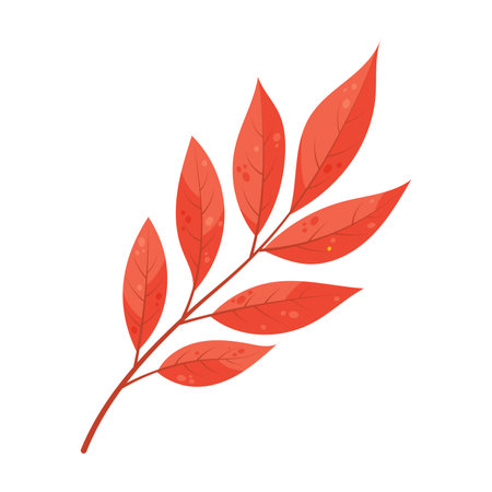 Autumn leaf. Red autumn leaf isolated on white background. Hand drawn vector illustration.のイラスト素材