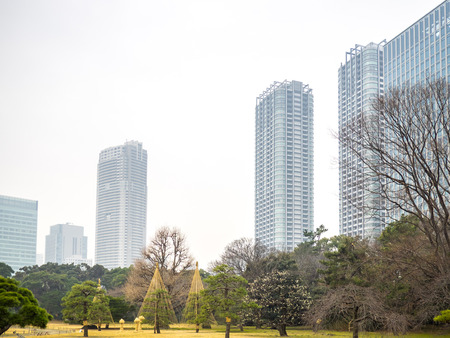 Tokyo, Japan - February 27, 2014 - View of a japanese garden and the modern buildings of Tokyo, Japanのeditorial素材