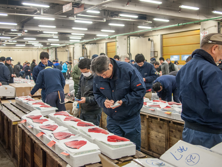 Tokyo, Japan - February 20, 2014 - Tuna testers checking the quality of the fish in the Tsukiji...