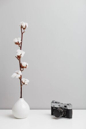 A white vase with a cotton flower branch,and an ancient cameraの写真素材