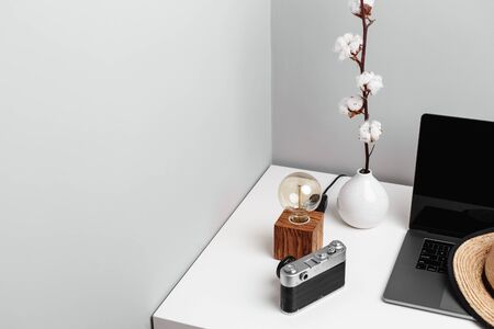 Dry cotton flower twig, old-fashioned camera, a summer hat and a laptop