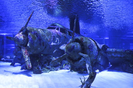 A plane of war lying underwater