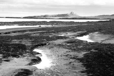 Dunstanburgh Castle seen from Embleston beachの写真素材