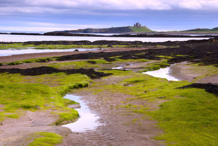 Dunstanburgh Castle seen from Embleston beachの写真素材