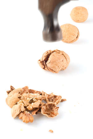 Cracking walnuts with hammerの写真素材
