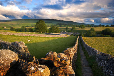 Footpath in Wharfedale, Yorkshire Dales National Park, United Kingdomの写真素材