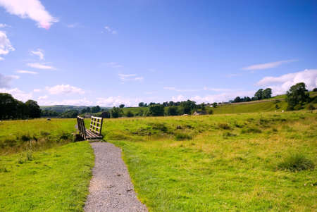 Wooden bridge over a stream in the Yorkshire Dales National Park, North Yorkshire, Englandの写真素材