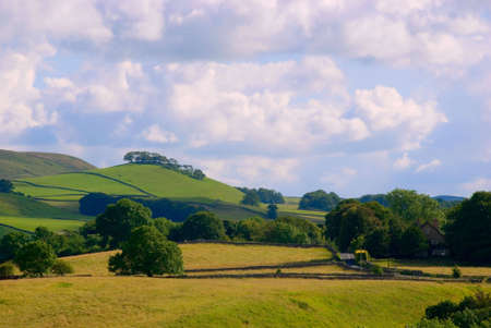 Trees on hilltop in Yorkshire Dales National Park, North Yorkshire, Englandの写真素材
