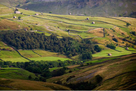 Walls and barns in Swaledale, Yorkshire Dales National Park, North Yorksire, United Kingdomの写真素材