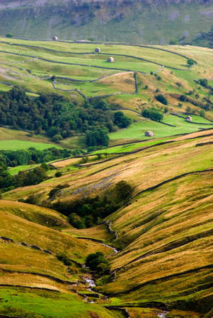 Walls and barns in Swaledale, Yorkshire Dales National Park, North Yorksire, United Kingdom