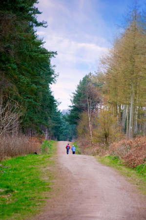 A couple walking along a lane through a forest の写真素材
