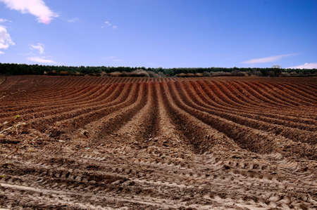 Newly ploughed field ready for new cropsの写真素材