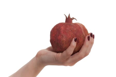 Female Hand Holding Pomegranate over Whiteの写真素材