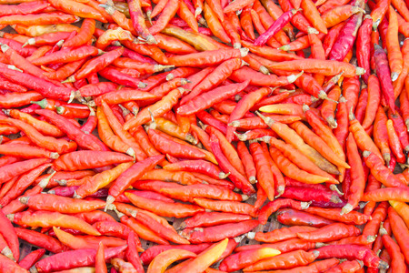 Chili is dried on bamboo tray. Red dried chili background.の写真素材
