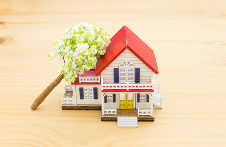 Fallen Tree Home Insurance Concept. Falling trees on home or house for insurance concept or disaster category. Home insurance concept in 
business category.の写真素材