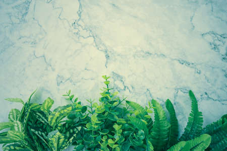 Modern Clean Flat Lay or Top View Office Desk or Office Table and Office Plants or Tree at Bottom on Marble Minimalist Background in Vintage Toneの写真素材